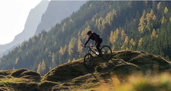 Mountain bike riding online for beginners