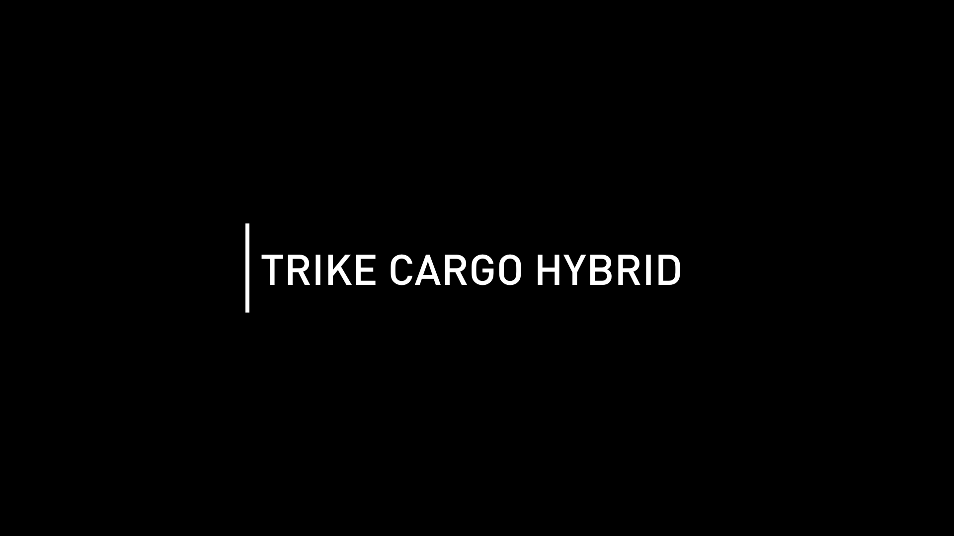 TRIKE HYBRID - TRANSPORT - E-BIKES